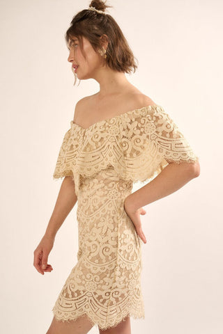 A Lace, Woven Mini Dress Look Up Deals