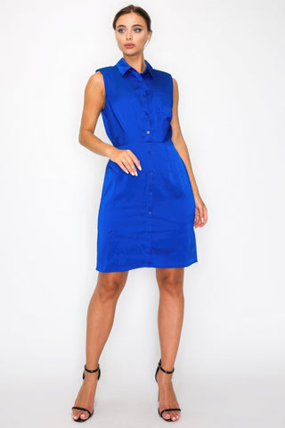 Button-down Pleated Shirt Dress Look Up Deals