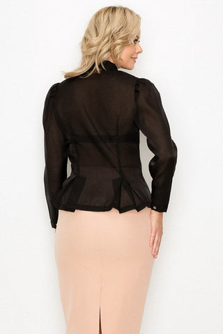 Organza Pleated Long Sleeve Blouse Look Up Deals