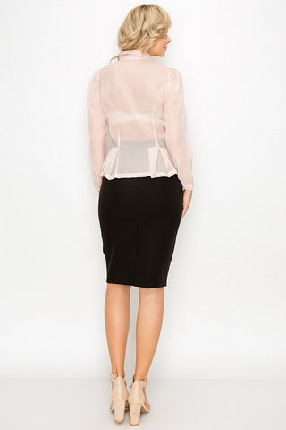 Organza Pleated Long Sleeve Blouse Look Up Deals