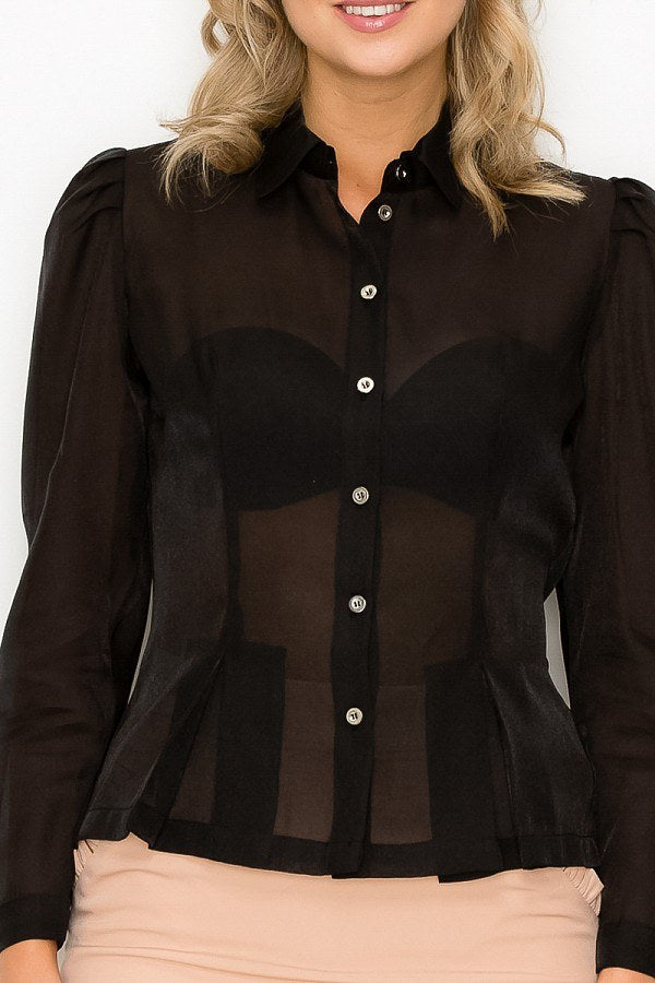 Organza Pleated Long Sleeve Blouse Look Up Deals